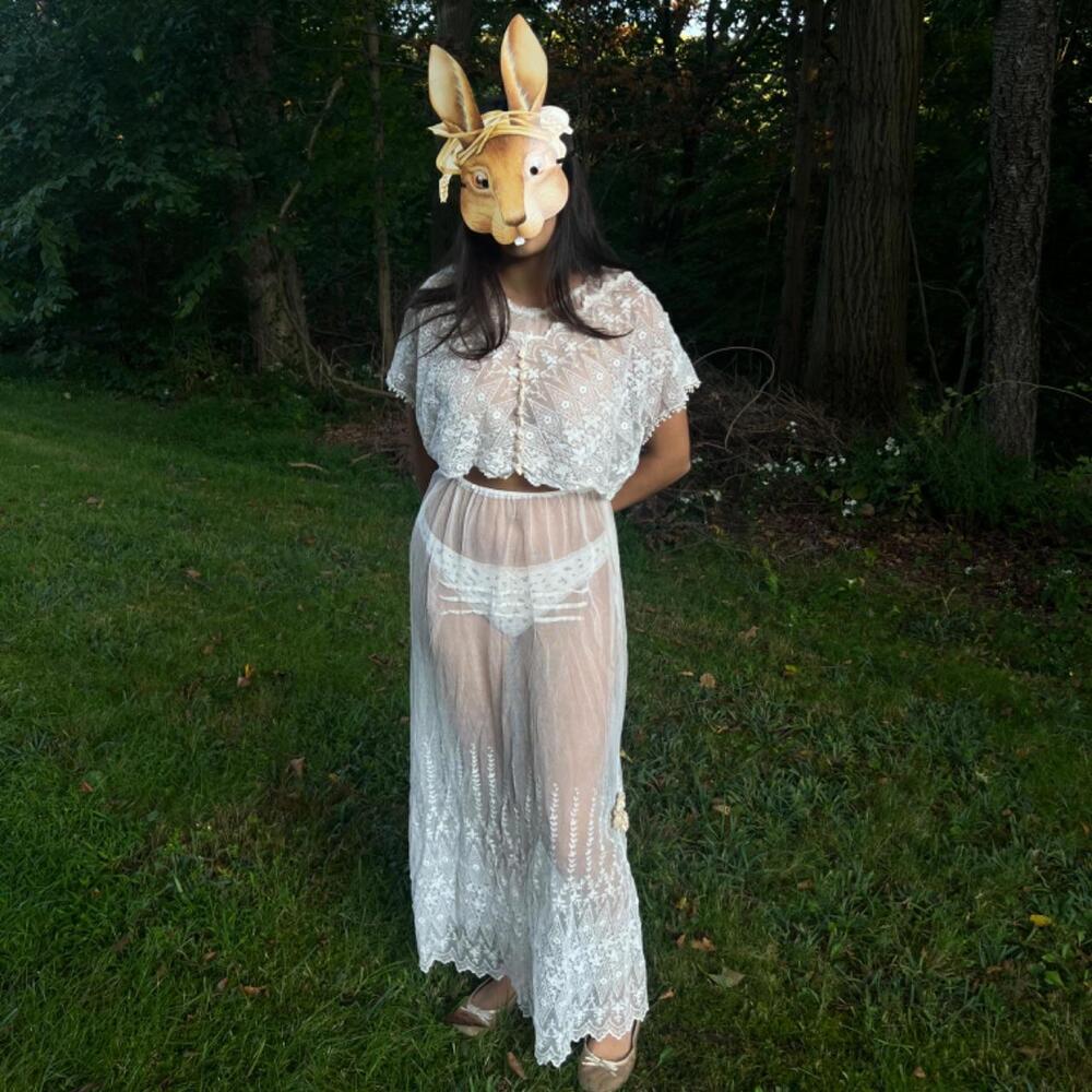 Antique Sheer Embroidered Net Lace Ensemble - image 1